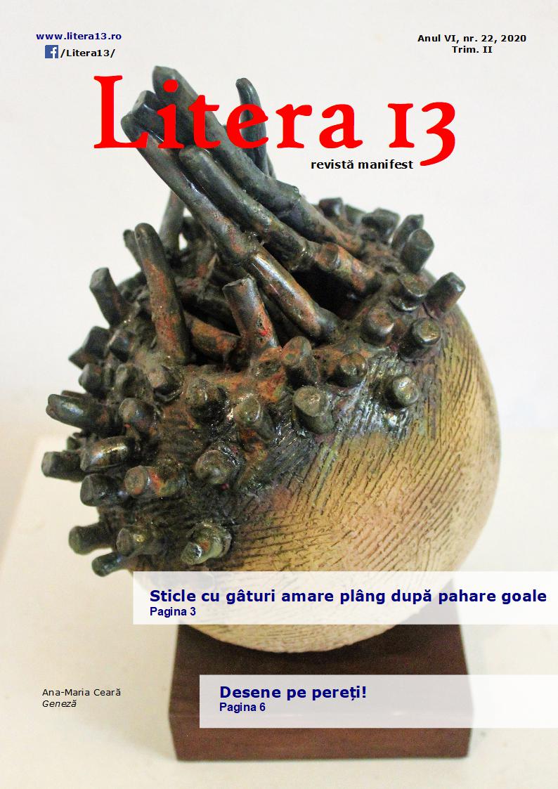 litera 13 nr 22