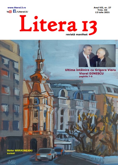 revista braileana Litera 13