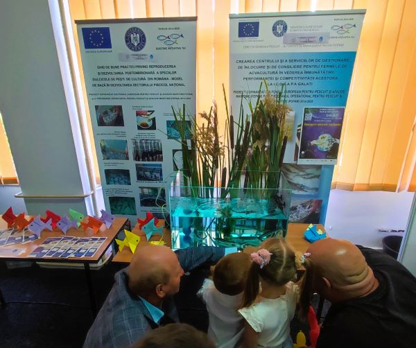Institutul de Cercetare-Dezvoltare pentru Ecologie Acvatică, Pescuit și Acvacultură (I.C.D.E.A.P.A. Galați) a înregistrat o participare entuziastă la evenimentele organizate de Noaptea Cercetătorilor Europeni, desfășurate pe 27 septembrie 2024, la Colegiul Național „Costache Negri” și la Universitatea „Dunărea de Jos” Galați, în cadrul Facultății de Știința și Ingineria Alimentelor. Copiii au avut ocazia să interacționeze cu standurile ICDEAPA, unde s-au arătat deosebit de interesați de pești, în special sturioni și alte specii autohtone. Printre atracțiile evenimentului s-au numărat demonstrațiile cu drona de mică altitudine și expunerea dronei științifice Trinity. Tinerii vizitatori au primit, pe lângă informații despre biodiversitatea acvatică, și semne de carte, fluturași, precum și mostre de papură, stuf și sorg. 2