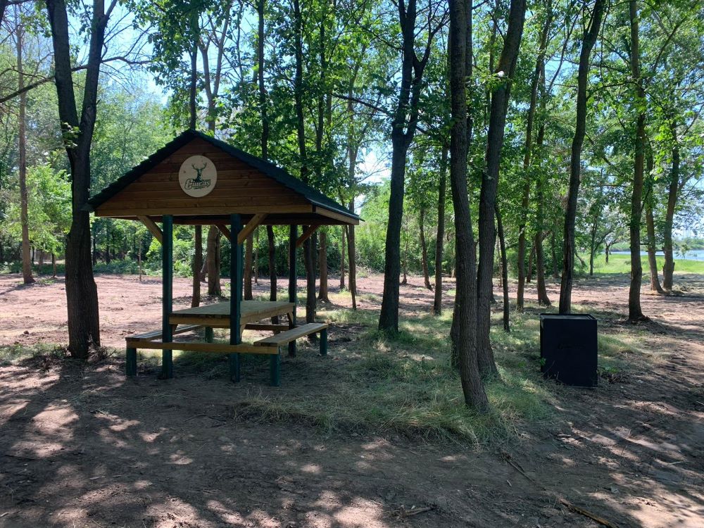 Poiana ciucas Braila