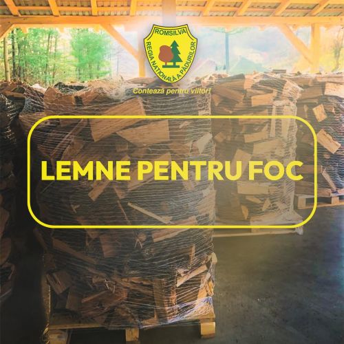 Romsilva aduce vești bune pentru iarnă: 2 milioane de metri cubi de lemn de foc pentru populație, la prețuri înghețate