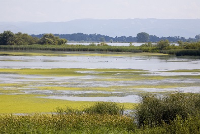 Delta Dunarii