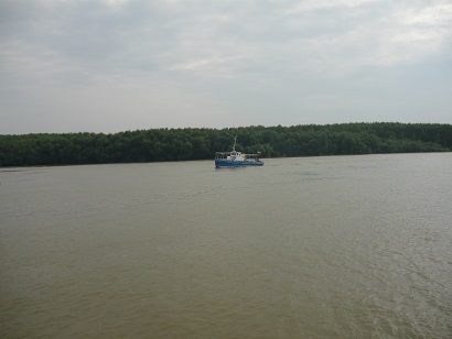 Dunarea