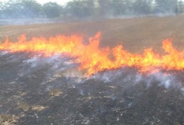 Interdicția de a incendia miriștile, vegetația uscată și resturile vegetale pe terenurile arabile 