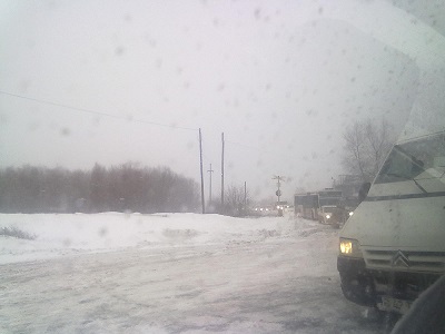 iarna