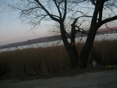 turism la tara